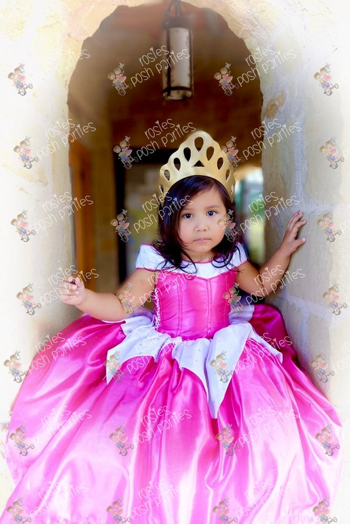 Sleeping Beauty, Princess Aurora Dress for Costume, Birthday or Photo  Shoot. Girl, Toddler, Child, Baby, Kids, Princess, Ball Gown - Etsy Hong  Kong