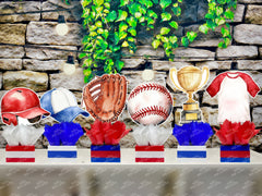 Baseball Theme | Baseball Baby Shower | Sports Birthday Table Centerpiece  SET OF 6
