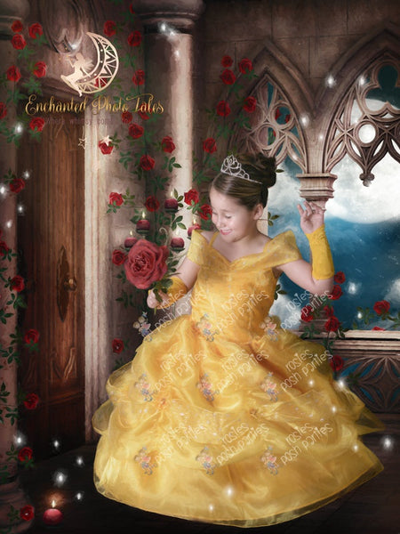Princess Belle Dress | Belle Gown | Belle Birthday Outfit | Belle Halloween Costume