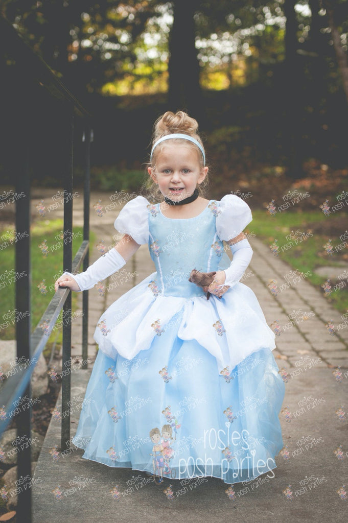 Buy 4pc Set Cinderella Inspired Dress Costume Set Halloween Dress Princess  Dress Christmas Gift Online in India - Etsy