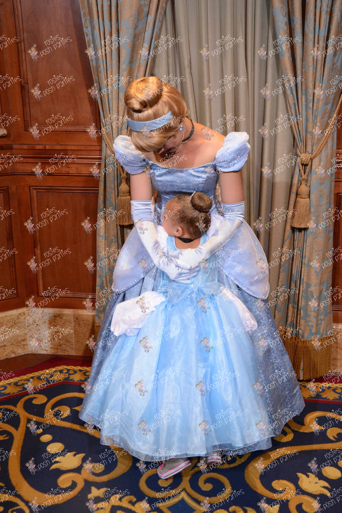 Cinderella Dress Cinderella Costume - Etsy