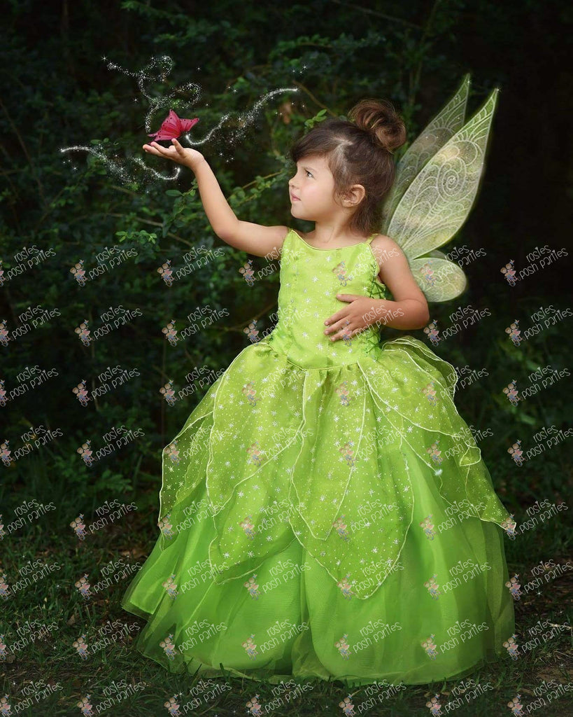 Tinkerbell Dress Costume, Tinkerbell Party