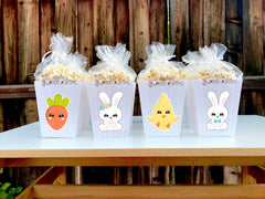 Easter Spring Birthday or Baby Shower Theme Popcorn Bin Favors SET OF 12