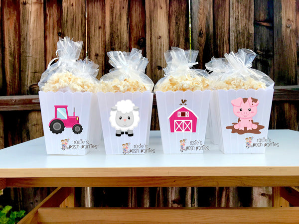 Farm Theme birthday party Favor centerpiece Farm Animals party decoration birthday Farm Favor Popcorn favor Boxes Farm Theme Party SET OF 12