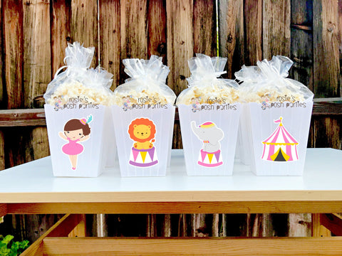 Circus Birthday of Baby Shower Theme | Pink Girl Circus Popcorn Favor Bins | Girl Circus Theme | Carnival Party Favors | Circus SET OF 12